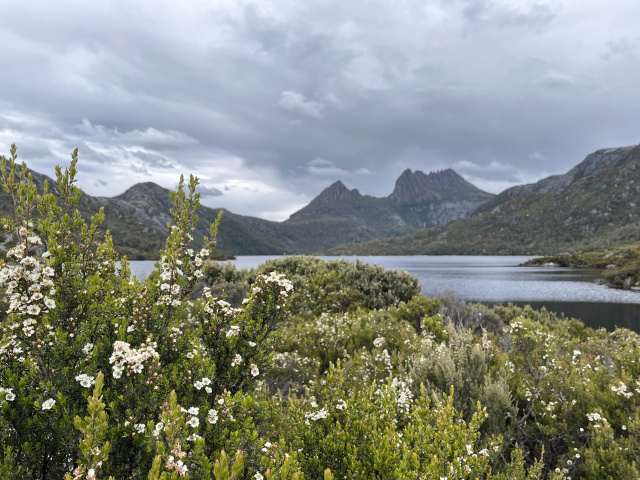 3b90143e 13d1 4348 8c3d 3b120cb319d0