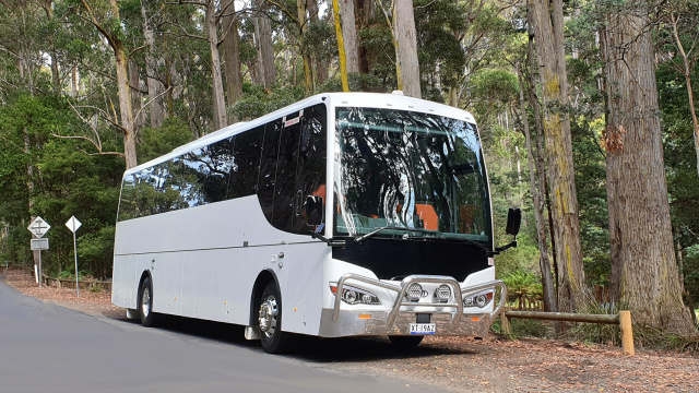 Coach