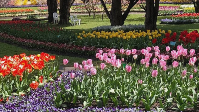 Screenshot 2025 12 15 111126