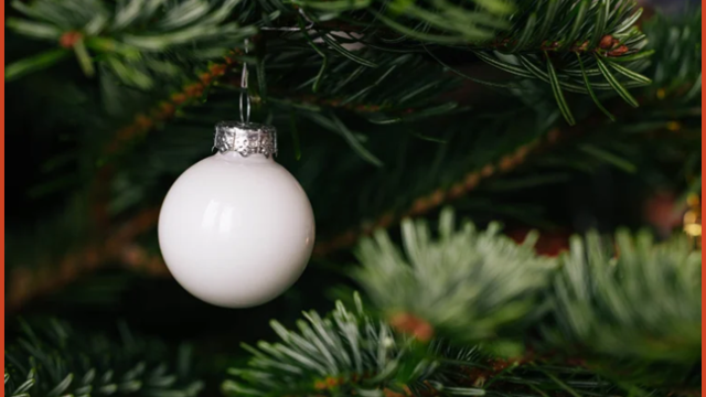 Xmas july