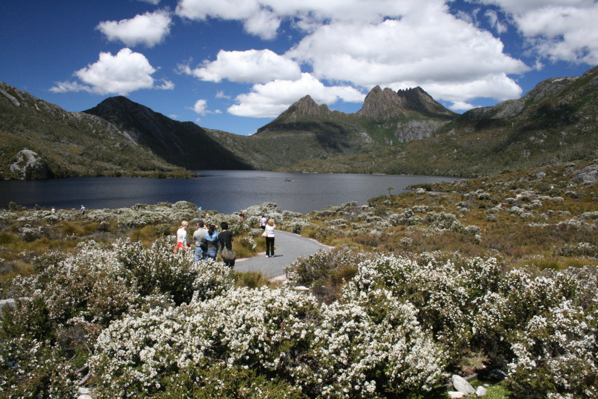 McDermott's | Cradle Mountain Day Tour