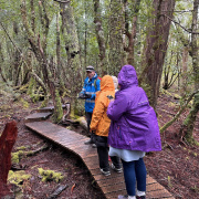 Commentary in the Ballroom Forest, learning about the flora and fauna