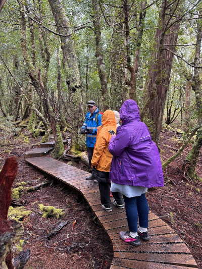 Commentary in the Ballroom Forest, learning about the flora and fauna
