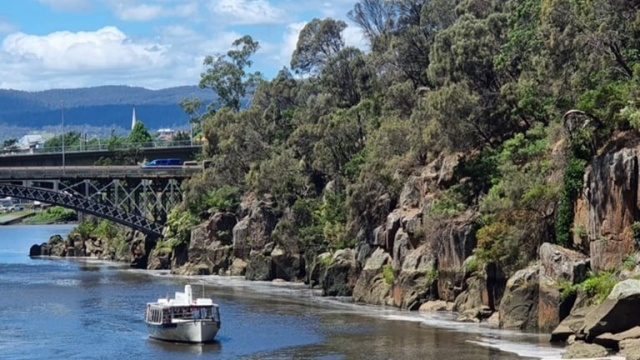 484327662 1133263401933773 4198606307465698306 n